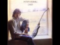 Peter Hammill - This Side Of The Looking Glass