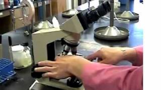 Microscope Care & Use1