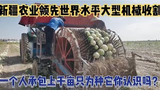 龙哥自驾游，新疆农业领先世界先进水平，种完瓜不要把它粉碎你知道为什么吗？【行者草原龙—阿日斯郎】