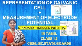 Representation Of Galvanic Cell| In Tamil| Standard Hydrogen Electrode | Measurement Of E |