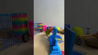 Bird Training : Smart lovebird Parrot | Smart Little Cute Parrot #training #smartparrot #cute