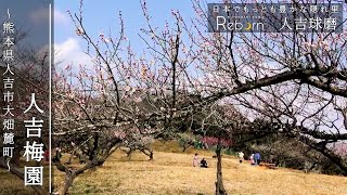 【人吉梅園】熊本県人吉市大畑麓町