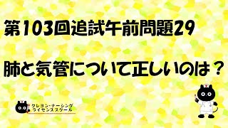 【看護師国家試験対策】第103回追試　午前問題29 過去問解説講座【クレヨン・ナーシングライセンススクール】