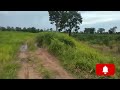 landforsale .ep24.ដីលក់បន្ទាន់3 5ហិចតា តម្លៃ១ម៉ឺនជាងនៅត្រឹមតែ5750$ តែប៉ុណ្ណោះ telegram 855977067164