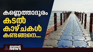 നടന്ന് നടന്ന് കടല് കാണണ്ടേ? തിരുവനന്തപുരത്തുമെത്തി ഭായ് ഫ്ലോട്ടിംഗ് ബ്രിഡ്‌ജ്‌ | Varkala