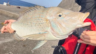 【釣りライブ配信】久々に那覇一文字で釣り2　タマンも狙うぞッ！　沖縄釣り