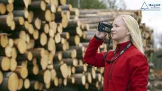 Inventory and measure volume on a timber pile