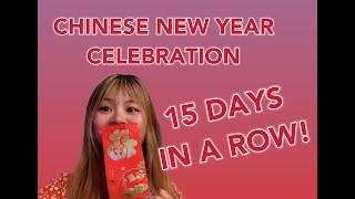 中国新年大庆祝|15 DAYS OF CHINESE NEW YEAR CELEBRATION