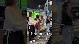 2024年9月22日bancess Free Live