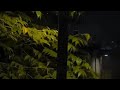 Very heart touching Arabic Nasheed || Tahajjud Nasheed || English translation