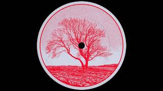 Computer Data - Abendrot