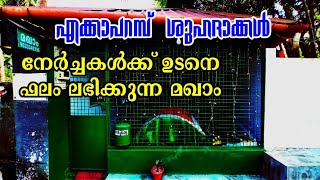 #alziyarah #ekkaparam_shuhadakkal എക്കാപറമ്പ് ശുഹദാക്കൾ|Vlog-356