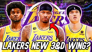 Lakers BEST 3&D Free Agent Signings to Target This Offseason! | Most REALISTIC 3&D Free Agents!