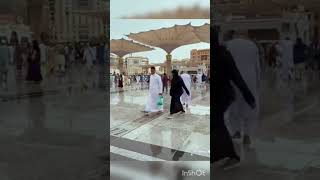 Mashallah Heavy Rain in Madinah Masjid Al-Nabawi Shaban 1446 AH Mecca Saudi Arabia #shorts