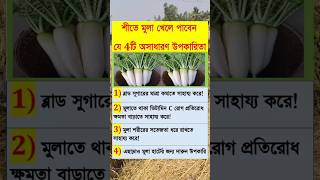 শীতে মূলা খেলে যে ৪ অসাধারণ উপকারিতা #health  #healthtips #healthtipsbangla #tips #top #shorts