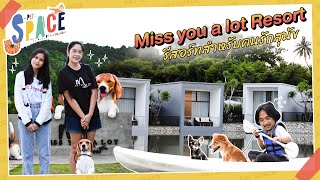 Miss you a lot Resort รีสอร์ทสำหรับคนรักสุนัข │Pet Space