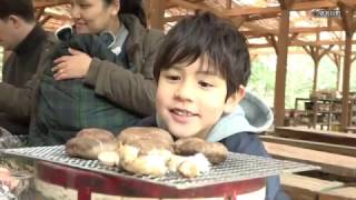 【関西・兵庫 体験遊び】食べて遊んで一日満喫in猪名川町