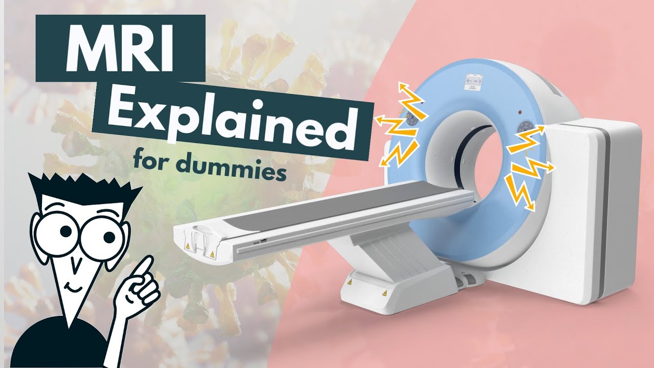 How Does An Mri Work Mri Basics Explained Animation Youtube