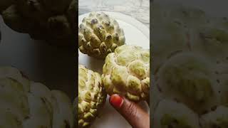 వావ్ ఇన్ని కష్టాలు దూరమవుతాయా.? Custard apple 🍈🍈#trending# video#youtubeshorts