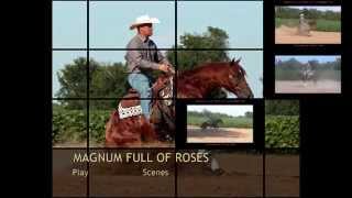 Magnum Full of Roses CONSIGNED TO THE 2014  NRHA/Markel Futurity Prospect Sale