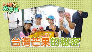 《玉井芒果的秘密》‖ 一棵樹可以長出不同品種的芒果？是「他」馴化愛文芒果！