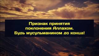 Признак принятия поклонения Аллахом.  Будь мусульманином до конца! || Абу Яхья Крымский