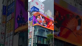 giant 3D cat on the Shinjuku billboard on Halloween 🎃 新宿の巨大3D猫のハロウィンver 🎃 #shorts