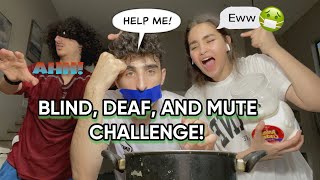 BLIND, DEAF, AND MUTE CHALLENGE WITH BROTHERS!!