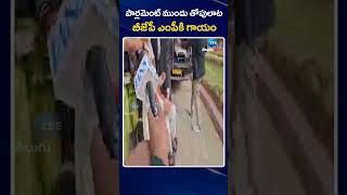 Hight Tension At Parliament | పార్లమెంట్ ముందు తోపులాట.. బీజేపీ ఎంపీకి గాయం.. | ZEE Telugu News