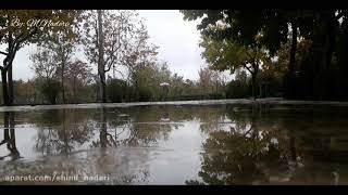 باران پاییزی Autumn rain