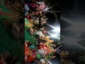 Ghanan ghanan Ghan Ghanta Baje man Kalka Bade Mukut ke sath Virat Roop Manoj new Mastana add group