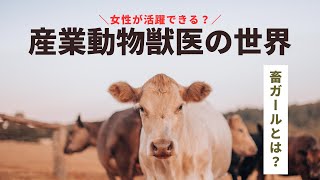 女性が活躍できる？産業動物獣医師とは？