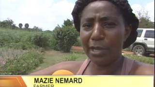 Lottery Scammers Extradited - Midday News - April 26 2017