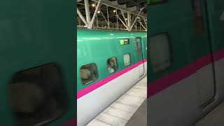 北海道 新函館北斗駅にE5系新幹線はやぶさ2車両いた！ The E5 series Shinkansen trains at Shin-Hakodate-Hokuto Station