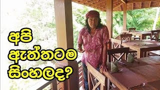 අපි පිරිසුදු සිංහල ද?