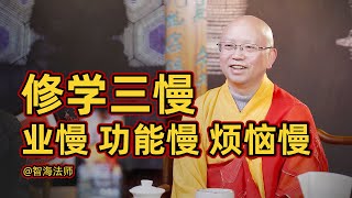 【智海法师】修学的三种慢：业慢、功能慢、烦恼慢！