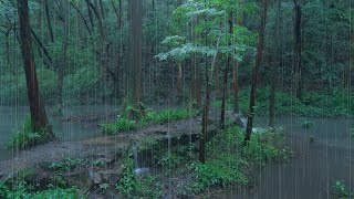 The streams and rain in the valley(16), sleep, relax, meditate, study, work, ASMR