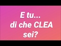 E tu di che CLEA sei? I Percorsi Curriculari del CLEA