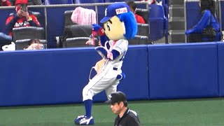 タオルをアゴで挟もうとするも無事失敗したドアラ(2021/04/18)