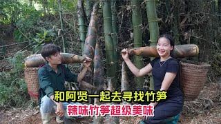 竟然和阿贤一起去寻找竹笋，辣味竹笋超级美味，你绝对想不到！