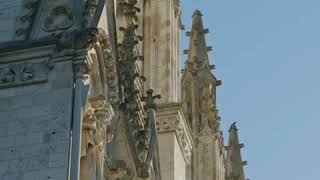 Babyatoutprix - Un baptême à Notre-Dame d’Amiens