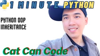 1 Minute Python | OOP Inheritance | Cat Can Code