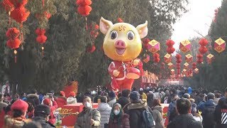 中国、獅子舞で新年祝う 春節迎え縁日開催