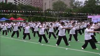 香港趙幼斌楊氏太極拳總會24式太極拳匯演 Hong Kong Zhao Youbin Yang’s Taichi Quan Association