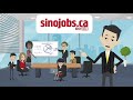 sinojobs canada english introduction no.1 asian talent pool in canada