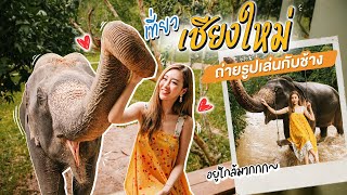 เที่ยวเชียงใหม่ เล่นกับช้าง THAILAND ELEPHANT SANCTUARY | Chiang Mai