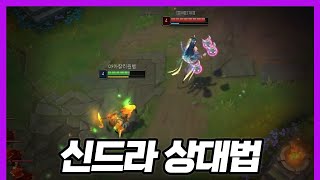 아칼리 1위가 알려주는 아칼리 vs 신드라