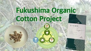 【Food Project Fukushima】Fukushima Organic Cotton Project