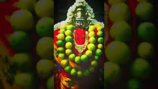 ஸ்ரீ தில்லை காளியம்மன் ஆலயம் 🙏🙏🌹🏵️