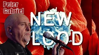 13. PETER GABRIEL * 2011 03 23/24 * Signal to Noise * LONDON * ENGLAND  (Official DVD)